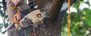 Best Aeration Services  in Gustine, CA